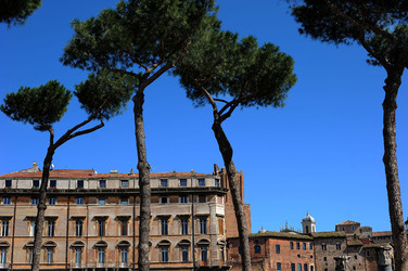 ROMA. Fotografie di Giulio Azzarello ©2014. ROMA. Fotografie di Giulio Azzarello ©2014.