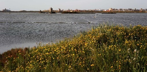LE SALINE di Trapani in Sicilia. Fotografie di Giulio Azzarello ©2014. LE SALINE di Trapani in Sicilia. Fotografie di Giulio Azzarello ©2014.