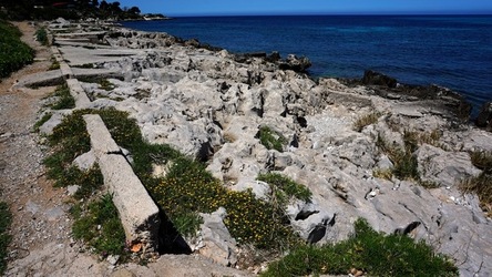 BAIA DEL CORALLO. Fotografie di Giulio Azzarello &copy;2022.
