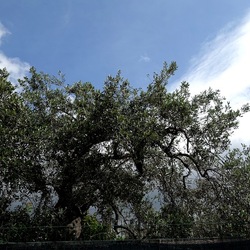 CAMMINANDO. Fotografie di Giulio Azzarello &copy;2024.