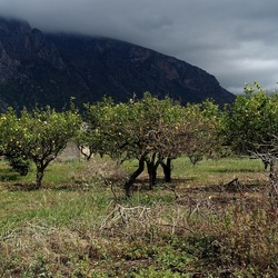 CAMMINANDO. Fotografie di Giulio Azzarello &copy;2024.