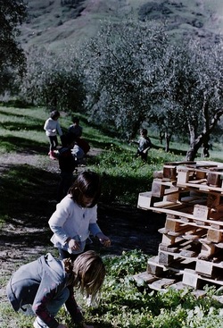 DIGITALIZZAZIONI fotografie di Giulio Azzarello &copy;2020.