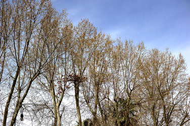VILLA BONANNO a Palermo. Fotografie di Giulio Azzarello &copy;2016.