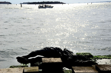 PADIGLIONI alla Biennale di Venezia. Foto di Giulio Azzarello &copy;2015 2016.