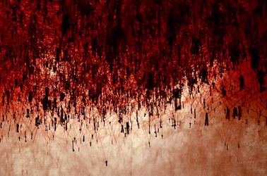 BIENNALE di VENEZIA padiglione giapponese. Foto di Giulio Azzarello &copy;2015 2016. Opera di Chiharu Shiota The KEY in the HAND .