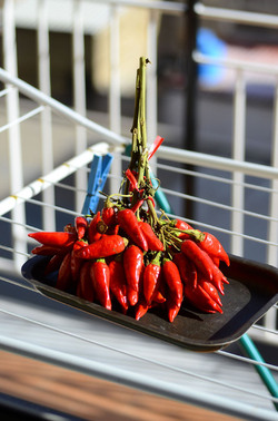 PEPERONCINO fotografie di Giulio Azzarello ©2014. PEPERONCINO fotografie di Giulio Azzarello ©2014.