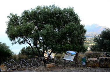 SOLUNTO in Sicilia. Fotografie di Giulio Azzarello ©2016. SOLUNTO in Sicilia. Fotografie di Giulio Azzarello ©2016.