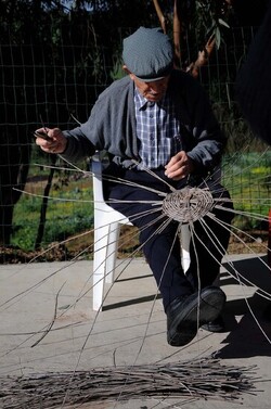 CESTO tipico tradizionale siciliano impagliato. Fotografie di Giulio Azzarello &copy;2014.