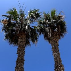 SAN VITO LO CAPO. Fotografie di Giulio Azzarello &copy;2023.