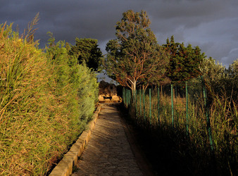 LUIGI PIRANDELLO il parco e la casa museo. Fotografie di Giulio Azzarello ©2014.