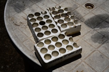 GIARDINO SICILIANO. Fotografie di Giulio Azzarello ©2022. GIARDINO SICILIANO. Fotografie di Giulio Azzarello ©2022.