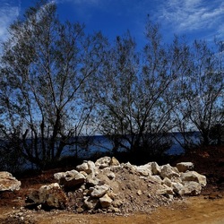 PIANTE. Fotografie di Giulio Azzarello ©2022. PIANTE. Fotografie di Giulio Azzarello ©2022.