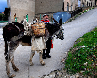 TIPICO FRANTOIO fotografie di Giulio Azzarello ©2014. TIPICO FRANTOIO fotografie di Giulio Azzarello ©2014.
