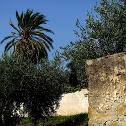 SELINUNTE. Fotografie di Giulio Azzarello ©2022. SELINUNTE. Fotografie di Giulio Azzarello ©2022.