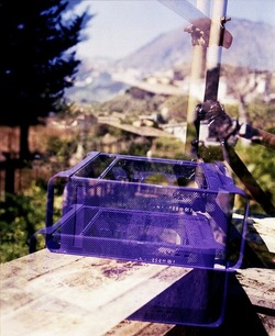 STILL LIFE ASSURDI fotografie di Giulio Azzarello ©2022. STILL LIFE ASSURDI fotografie di Giulio Azzarello ©2022.