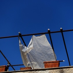 GIARDINO SICILIANO. Fotografie di Giulio Azzarello ©2022. GIARDINO SICILIANO. Fotografie di Giulio Azzarello ©2022.