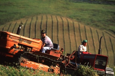 SICILIA diapositive. Fotografie di Giulio Azzarello &copy;1996 2021.