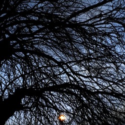 INVERNO. Fotografie di Giulio Azzarello &copy;2023.