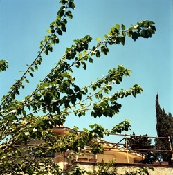 FOTO QUADRATE 6X6. Fotografie di Giulio Azzarello ©2021. FOTO QUADRATE 6X6. Fotografie di Giulio Azzarello ©2021.