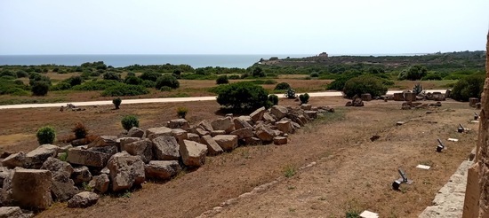 PARCO ARCHEOLOGICO DI SELINUNTE. Fotografie di Giulio Azzarello ©2023.