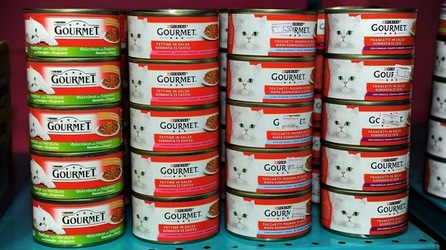 NEGOZIO di ANIMALI. Fotografie di Giulio Azzarello ©2018. NEGOZIO di ANIMALI. Fotografie di Giulio Azzarello ©2018.