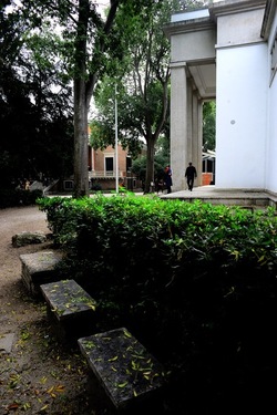 BIENNALE di VENEZIA Arte Contemporanea Giardini. Fotografie di Giulio Azzarello &copy;2020.