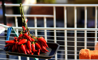 PEPERONCINO fotografie di Giulio Azzarello ©2014. PEPERONCINO fotografie di Giulio Azzarello ©2014.