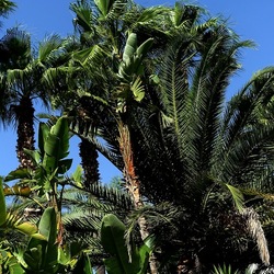 SELINUNTE. Fotografie di Giulio Azzarello ©2022. SELINUNTE. Fotografie di Giulio Azzarello ©2022.