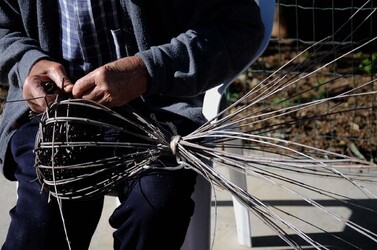 CESTO tipico tradizionale siciliano impagliato. Fotografie di Giulio Azzarello &copy;2014.