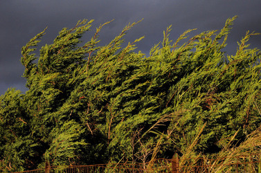 LUIGI PIRANDELLO il parco e la casa museo. Fotografie di Giulio Azzarello ©2014.