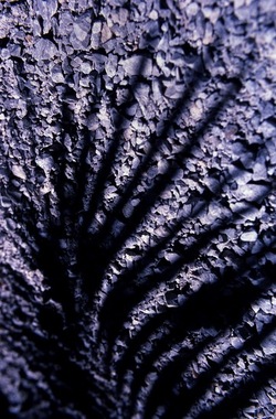 DIAPOSITIVE fotografie di Giulio Azzarello ©1996 2021.