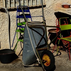 RAMI E ROVI. Fotografie di Giulio Azzarello ©2023. RAMI E ROVI. Fotografie di Giulio Azzarello ©2023.