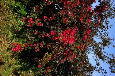 MONDELLO. Fotografie di Giulio Azzarello &copy;2023.