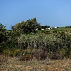 SELINUNTE. Fotografie di Giulio Azzarello ©2022. SELINUNTE. Fotografie di Giulio Azzarello ©2022.