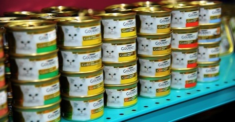 NEGOZIO di ANIMALI. Fotografie di Giulio Azzarello ©2018. NEGOZIO di ANIMALI. Fotografie di Giulio Azzarello ©2018.