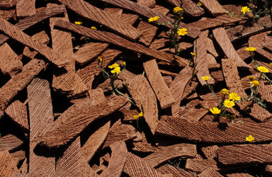 ARTE CONTEMPORANEA A PIRGI sito e riserva archeologica. Fotografie di Giulio Azzarello &copy;2014.