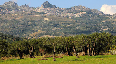 CALTABELLOTTA in Sicilia. Fotografie di Giulio Azzarello ©2014.