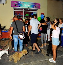 NEGOZIO di ANIMALI. Fotografie di Giulio Azzarello ©2018. NEGOZIO di ANIMALI. Fotografie di Giulio Azzarello ©2018.