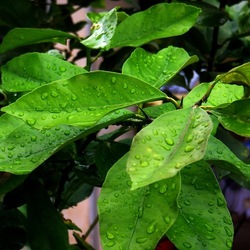 AUTUNNO fotografie di Giulio Azzarello ©2021. AUTUNNO fotografie di Giulio Azzarello ©2021.