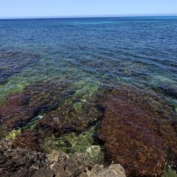 BAIA DEL CORALLO. Fotografie di Giulio Azzarello &copy;2022.