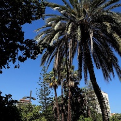 GIARDINO. Fotografie di Giulio Azzarello ©2022.