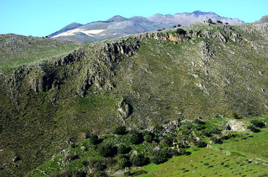 MACCHIA MEDITERRANEA in Sicilia. Fotografie di Giulio Azzarello &copy;2106.