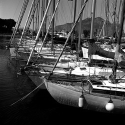 VELA fotografie di Giulio Azzarello ©2021. VELA fotografie di Giulio Azzarello ©2021.