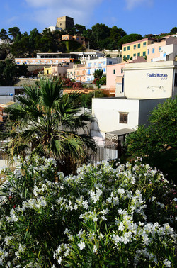 ISOLA DI USTICA il paese. Fotografie di Giulio Azzarello ©2016. ISOLA DI USTICA il paese. Fotografie di Giulio Azzarello ©2016.