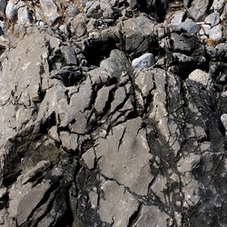 BAIA DEL CORALLO. Fotografie di Giulio Azzarello &copy;2022.