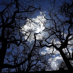 ORTO BOTANICO DI PALERMO. Fotografie di Giulio Azzarello ©2022. ORTO BOTANICO DI PALERMO. Fotografie di Giulio Azzarello ©2022.