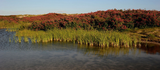 PAESAGGIO SICILIANO nel luogo delle macalube in Sicilia. Fotografie di Giulio Azzarello &copy;2014.