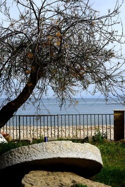 FIUMARA D ARTE Tusa. Fotografie di Giulio Azzarello &copy;2022.