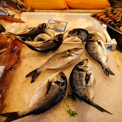 PALERMO. Fotografie di Giulio Azzarello &copy;2023.