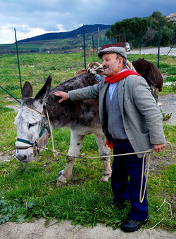 TIPICO FRANTOIO fotografie di Giulio Azzarello ©2014. TIPICO FRANTOIO fotografie di Giulio Azzarello ©2014.